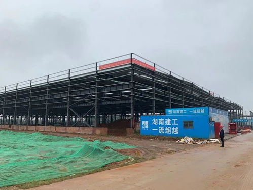 益阳总投资8.229亿元大项目预计12月建成投产，房屋建筑工程施工稳步推进